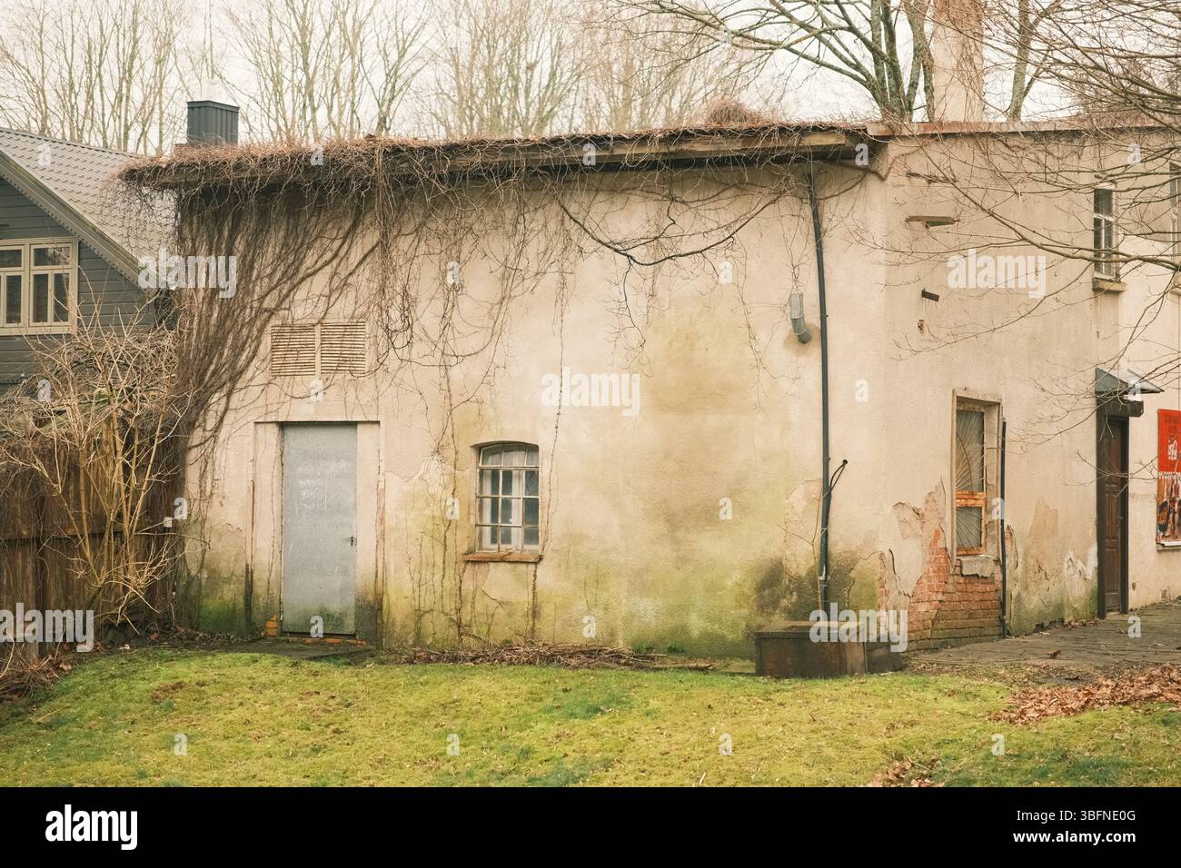 Vecchio edificio abbandonato con pareti in gesso intemperie, mattoni esposti e viti da arrampicata. Foto Stock