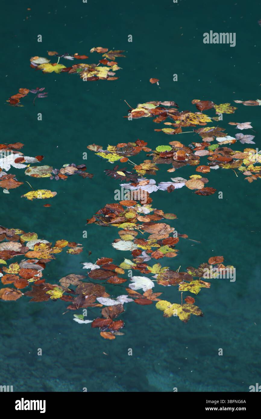 Lago di Tovel, Trentino: Riflessi autunnali, spiagge di sabbia bianca e Dolomiti di Brenta Foto Stock