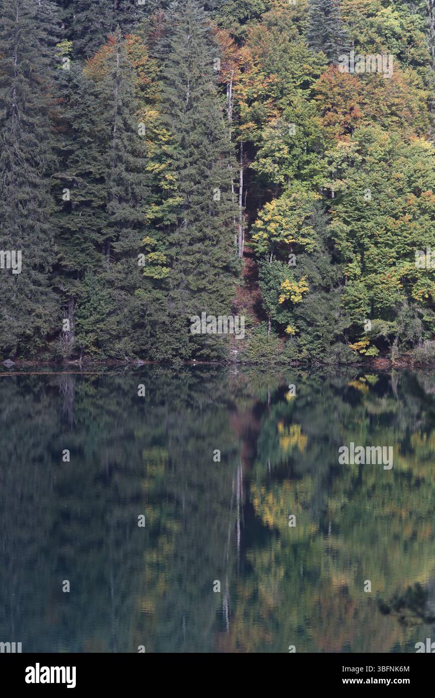 Lago di Tovel, Trentino: Riflessi autunnali, spiagge di sabbia bianca e Dolomiti di Brenta Foto Stock
