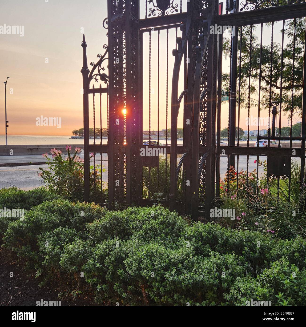 Alba urbana attraverso le porte del giardino - Immagine stock catturata con smartphone