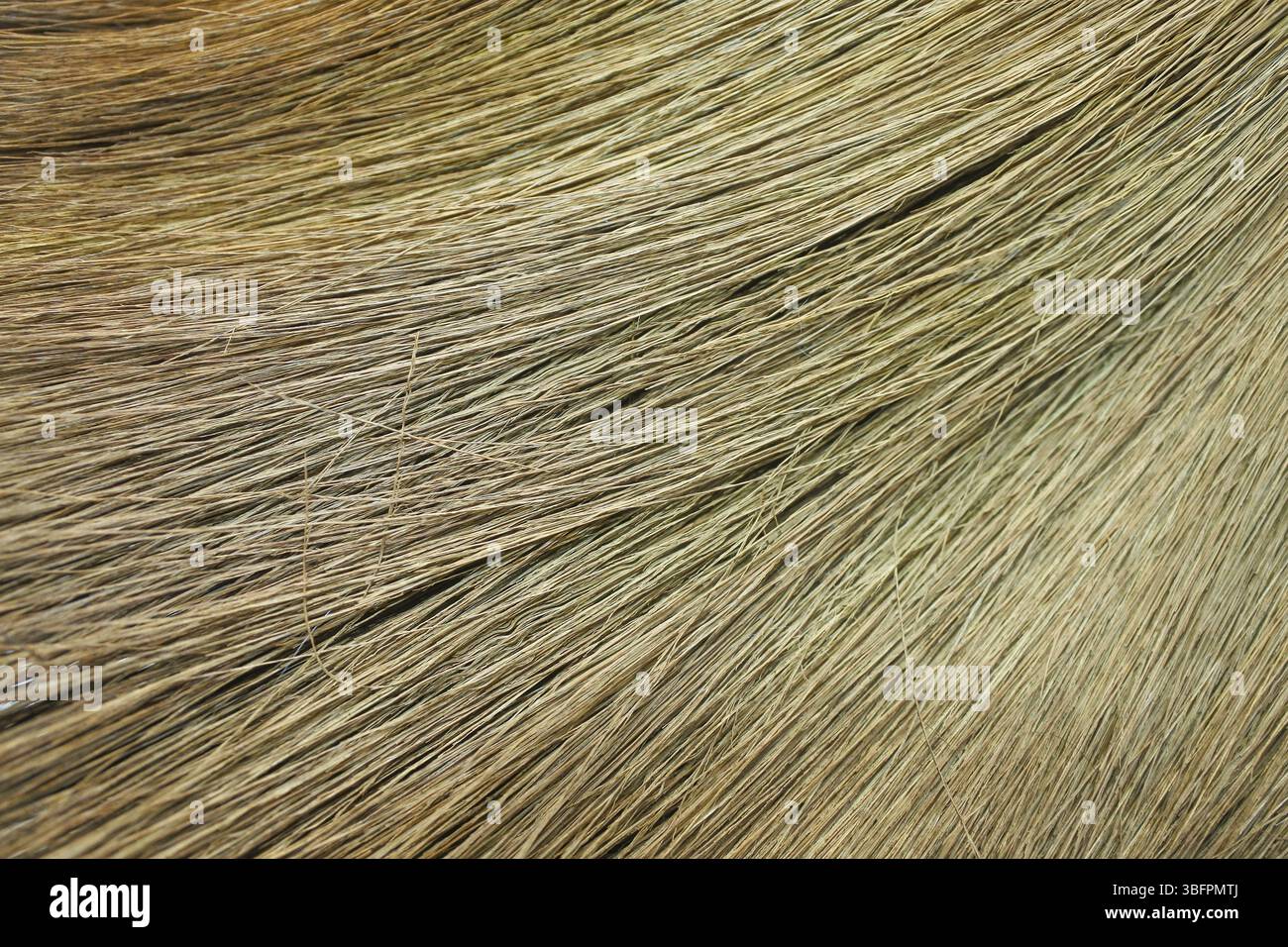 Consistenza di bastoncini di paglia utilizzati come spazzatrici per la pulizia, incorniciati fotograficamente in full frame Foto Stock
