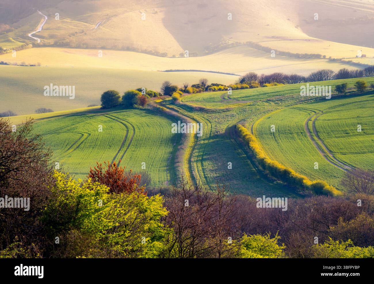 Primavera sulle colline ai piedi del South Downs Foto Stock
