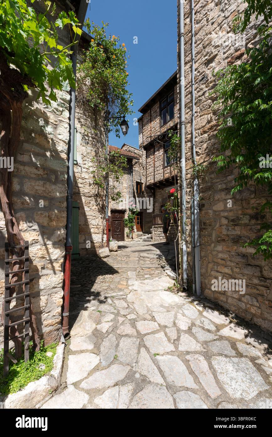 Famoso villaggio di Sainte-Enimie in Francia, Europa Foto Stock