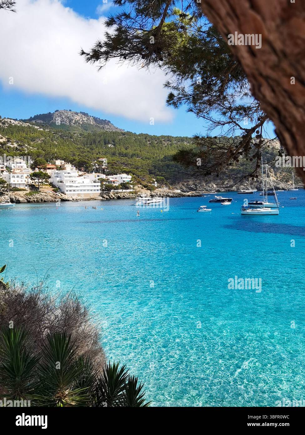 Acque turchesi e trasparenti circondate da lussureggianti pini nell'idilliaco Sant Elm, Maiorca. Un tranquillo paesaggio mediterraneo che evoca calma, pace, - Immagine stock catturata con smartphone