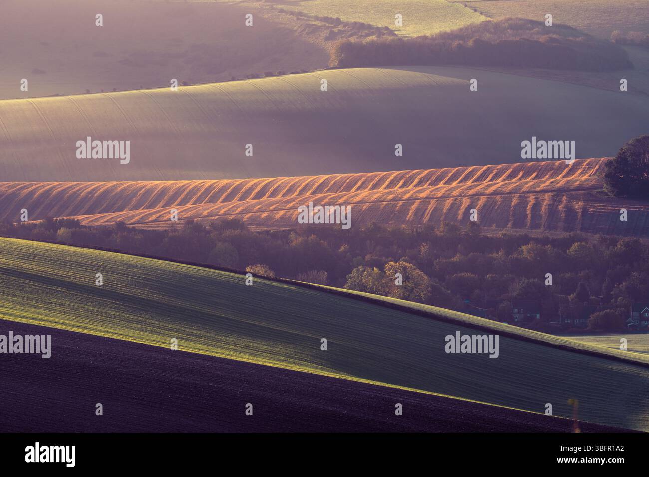 Colline di South Downs Foto Stock