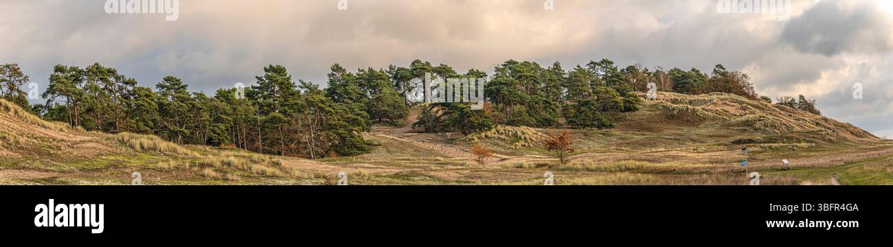 Panorama della riserva naturale delle dune interne nei pressi di Klein Schmölen, la più grande duna interna d'Europa, Meclemburgo-Pomerania occidentale, Germania Foto Stock