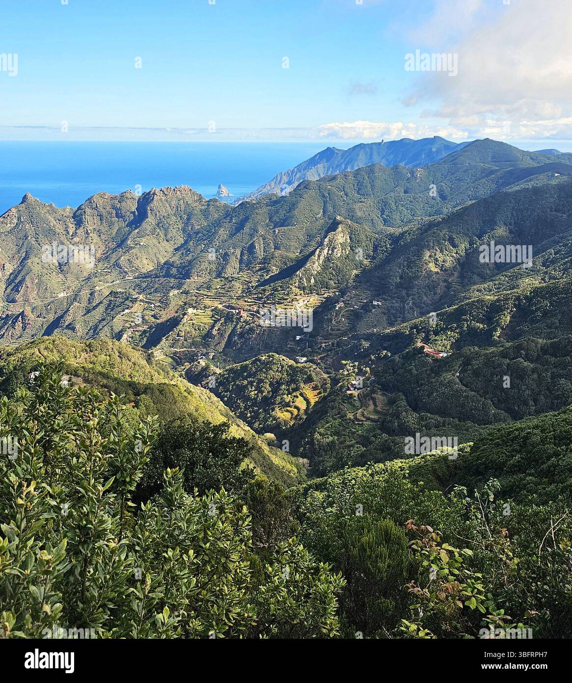 Vista panoramica delle montagne boschive e delle valli terrazzate nel Parco rurale di Anaga, con l'Oceano Atlantico in lontananza, Tenerife, Isole Canarie, Spagna Foto Stock