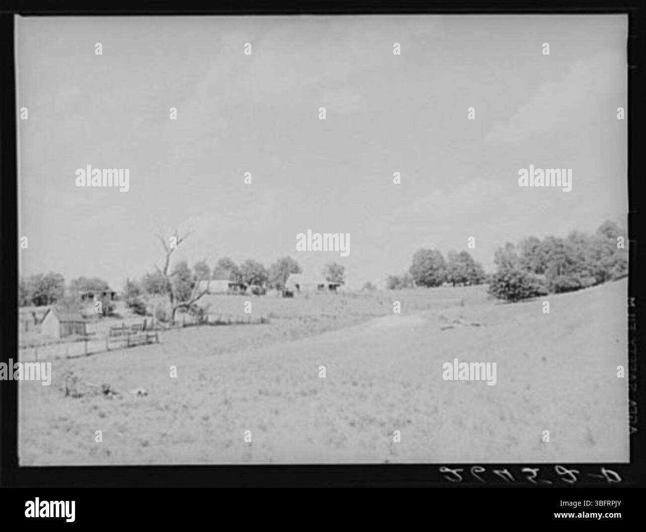 Immagine che mostra terreni non adatti all'agricoltura, probabilmente a causa di cattive condizioni del suolo, erosione o mancanza di acqua, rendendo difficile la coltivazione delle colture. Foto Stock