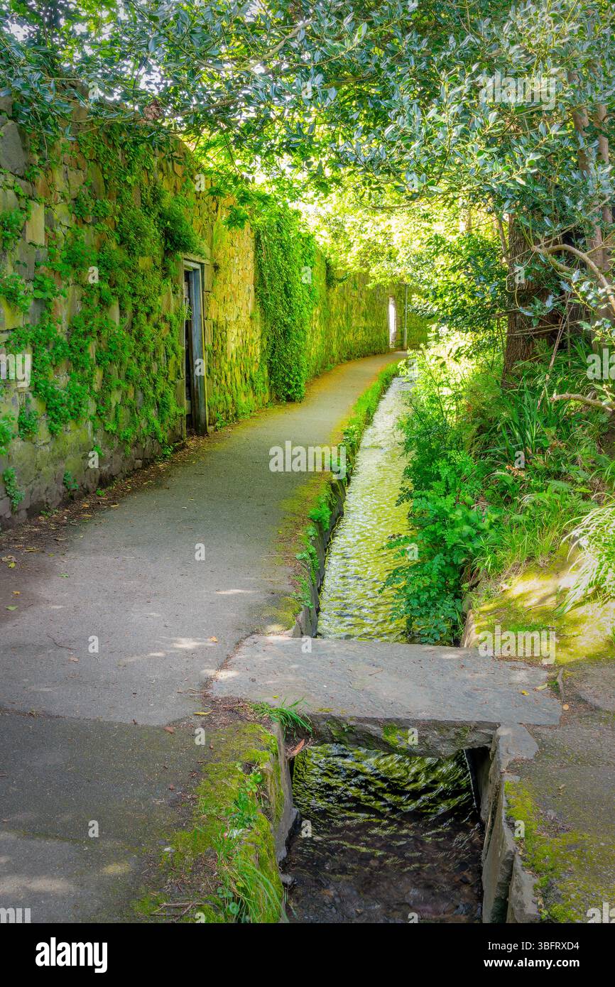 The Water Lanes, percorso pedonale lungo un piccolo canale nel porto di San Pietro, Guernsey, Isole del Canale Foto Stock