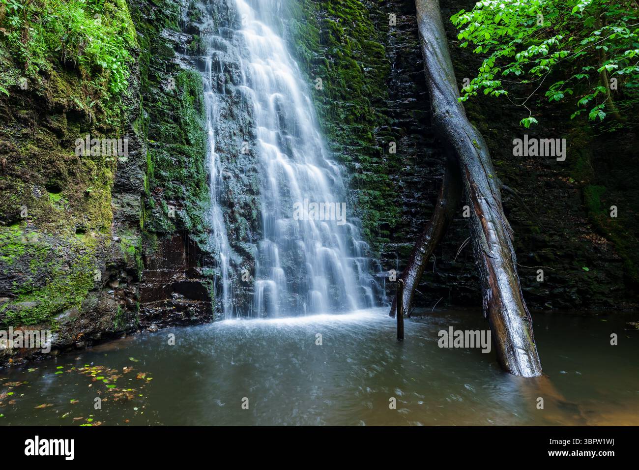 Cascata Falling Foss nel North Yorkshire, Inghilterra. Foto Stock