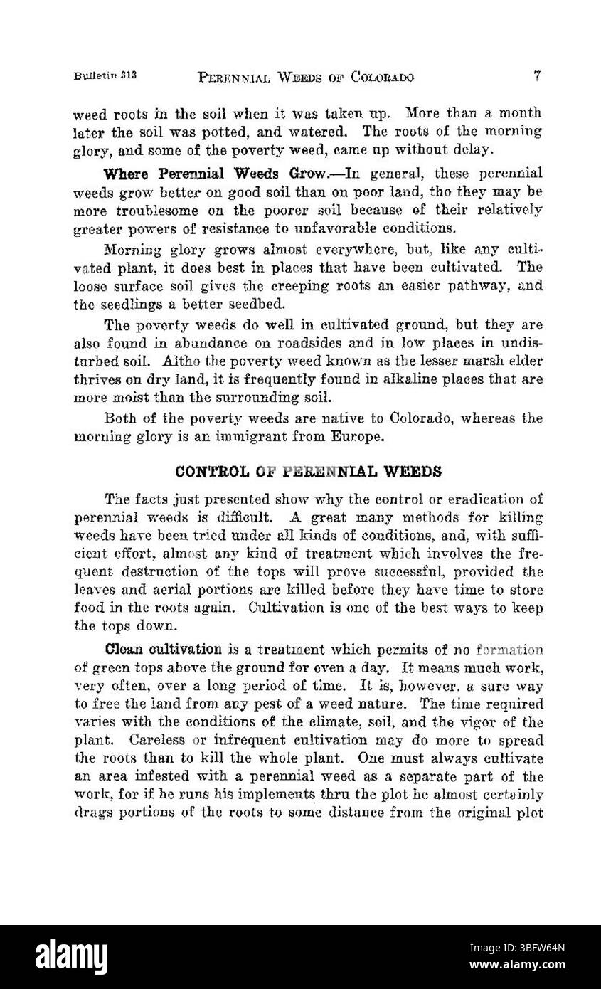 Il documento del 1926 delinea la minaccia rappresentata da tre grandi erbacce perenni in Colorado, che possono competere con le piante e le colture autoctone. La loro persistenza nella regione contribuisce al degrado del suolo e alle difficoltà agricole, evidenziando la necessità di strategie di gestione efficaci. Foto Stock