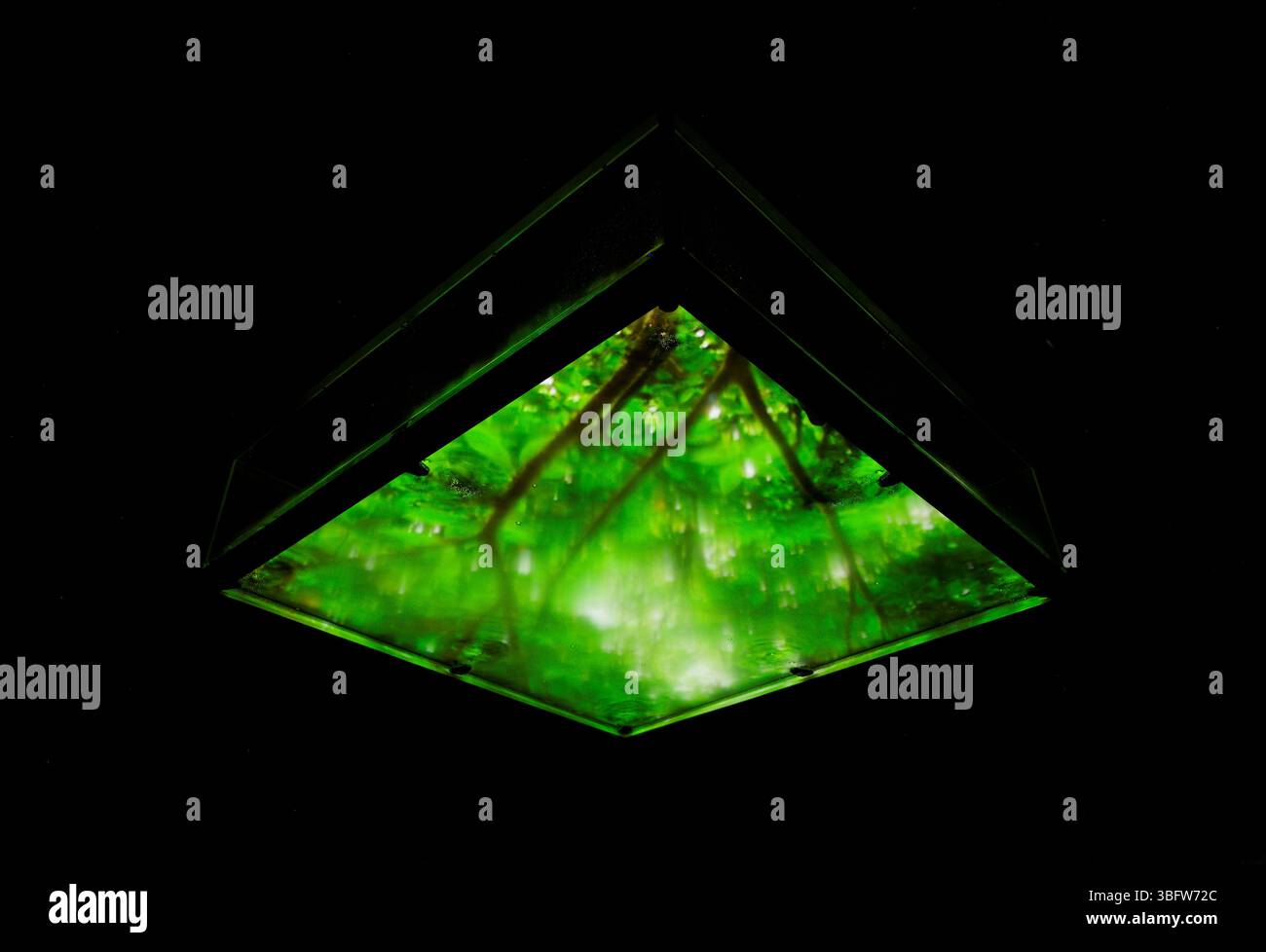 La luce verde scintillante lampeggia all'interno di un serbatoio di vetro sospeso nell'installazione di Ryuichi Sakamoto per vedere il suono e ascoltare il tempo Foto Stock