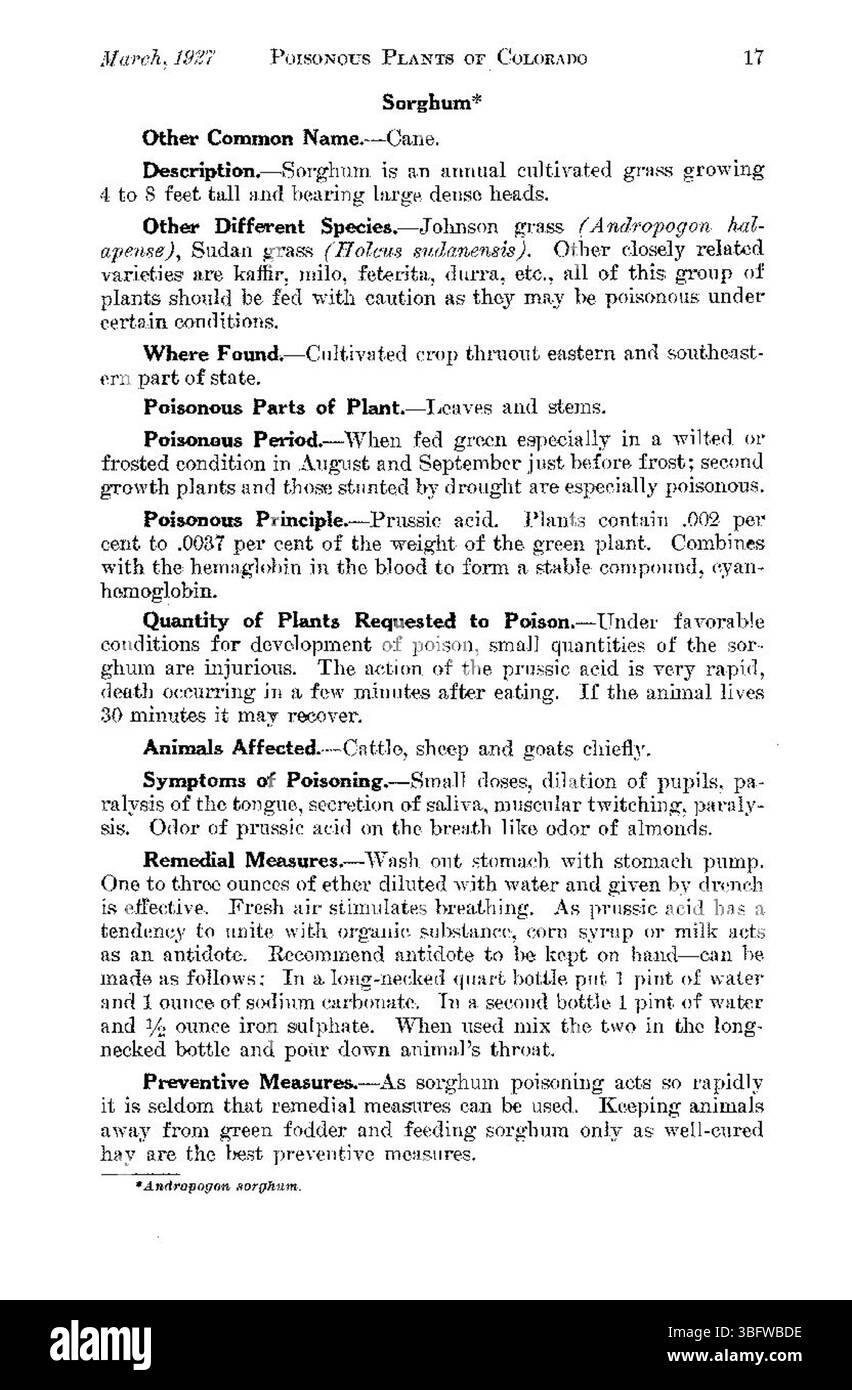Questa pagina della pubblicazione del 1927 "Poisonous Plants of Colorado" descrive le varie piante tossiche trovate nello stato, concentrandosi sulla loro identificazione e sui potenziali pericoli. Ristampato nel maggio 1929. Foto Stock