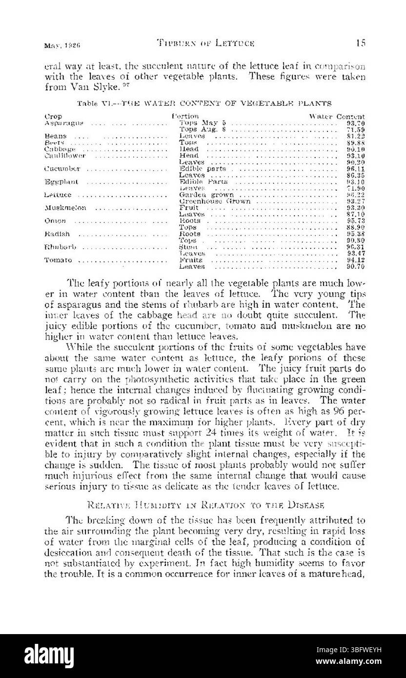 Questa parte di "Tipburn of lattuce" (1926) esplora il ruolo dei parassiti e degli agenti patogeni nell'esacerbare la condizione, descrivendo in dettaglio come alcuni insetti e microrganismi contribuiscono al danno delle colture. Foto Stock