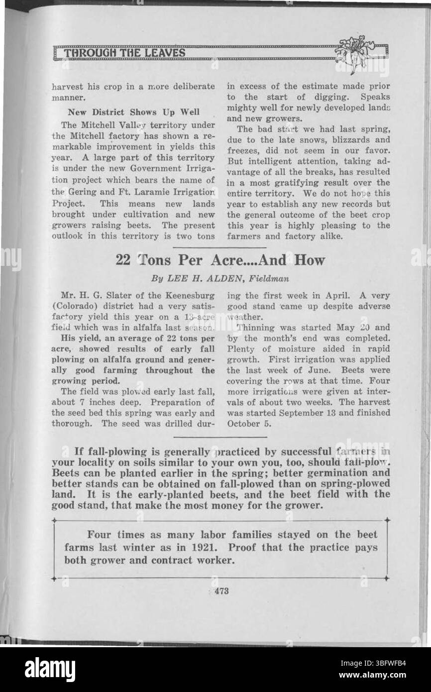 Questa pagina di "Through the Leaves" (1927) continua l'indagine sul mondo naturale, con informazioni sulla vita vegetale e sui sistemi ecologici. Include un indice tematico per una ricerca e uno studio approfonditi. Foto Stock