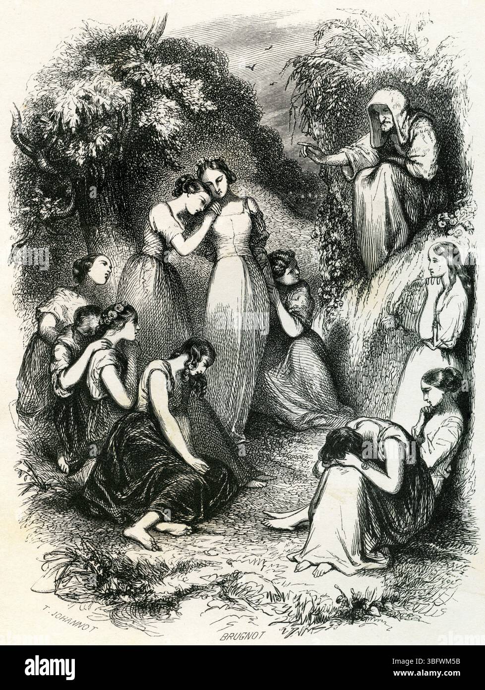 Forest Flowers' Lament - a che serve? - 1843 Voyage ou il vous plaira illustrazione Foto Stock