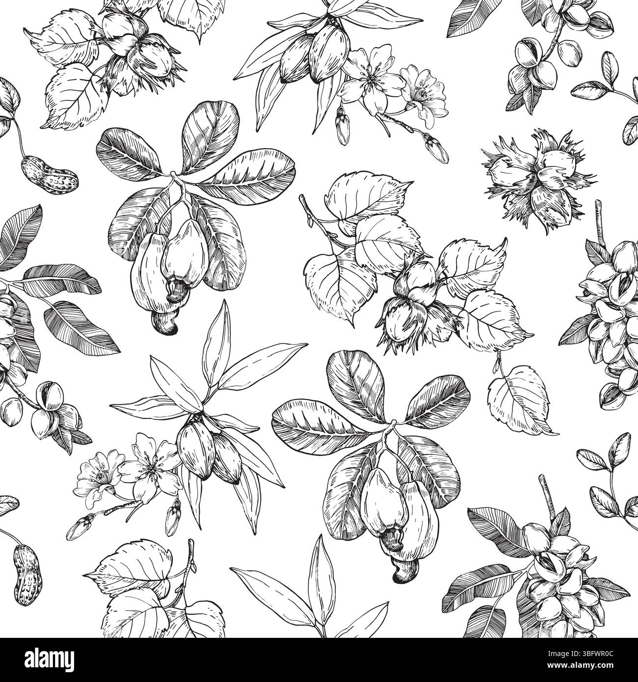 Motivo vettoriale senza cuciture NUTS disegnato a mano con inchiostro. Illustrazione Vettoriale