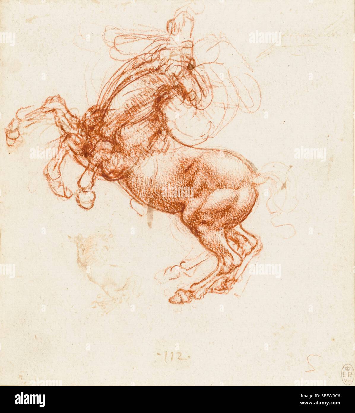 Disegno di Leonardo da Vinci, Un cavallo che cresce, gesso rosso con penna e inchiostro, 1503-1504 Foto Stock