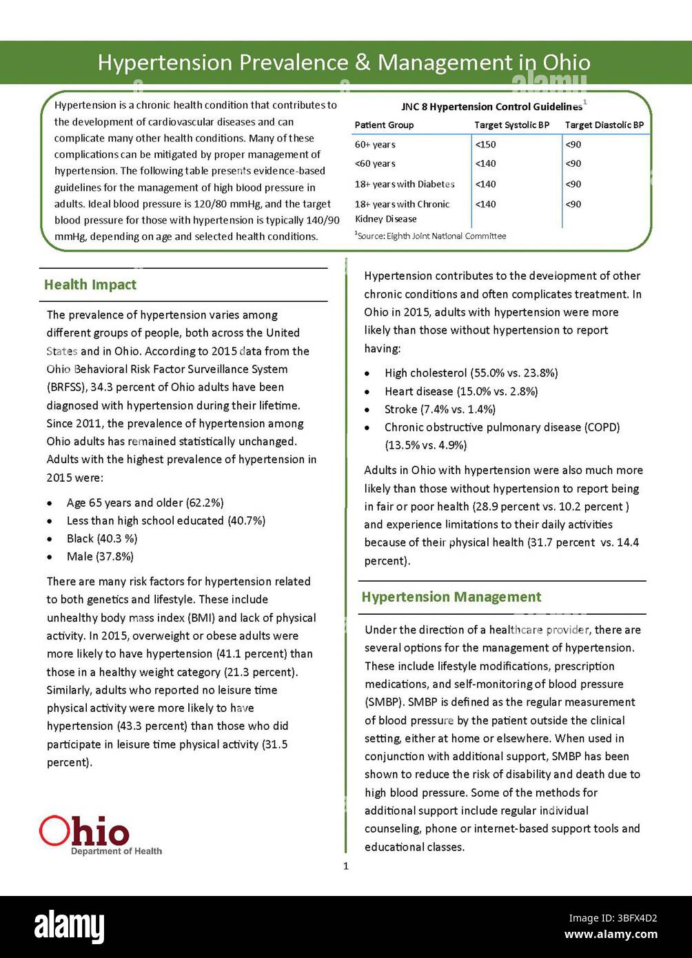 Questa pubblicazione del 2017 discute la prevalenza dell'ipertensione in Ohio e le strategie di gestione impiegate per affrontare questo problema di salute. Include dati, tendenze e materiali di riferimento per gli operatori sanitari in Ohio. Foto Stock