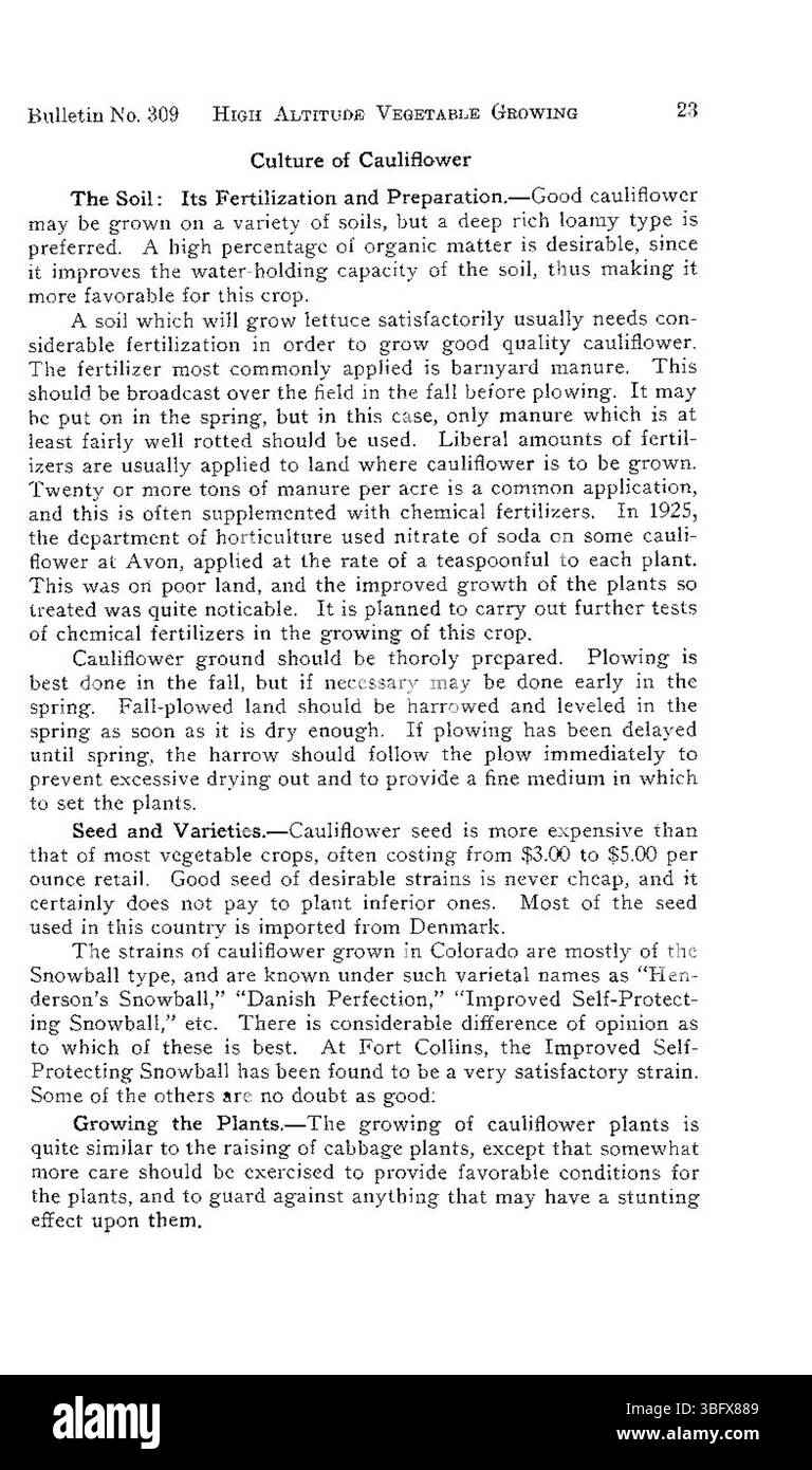 Questa pagina evidenzia le sfide e i vantaggi della coltivazione di lattuga, cavolfiore e piselli in aree ad alta quota. L'articolo tratta le strategie per migliorare la produzione agricola nelle regioni con temperature più basse e meno ossigeno. Foto Stock