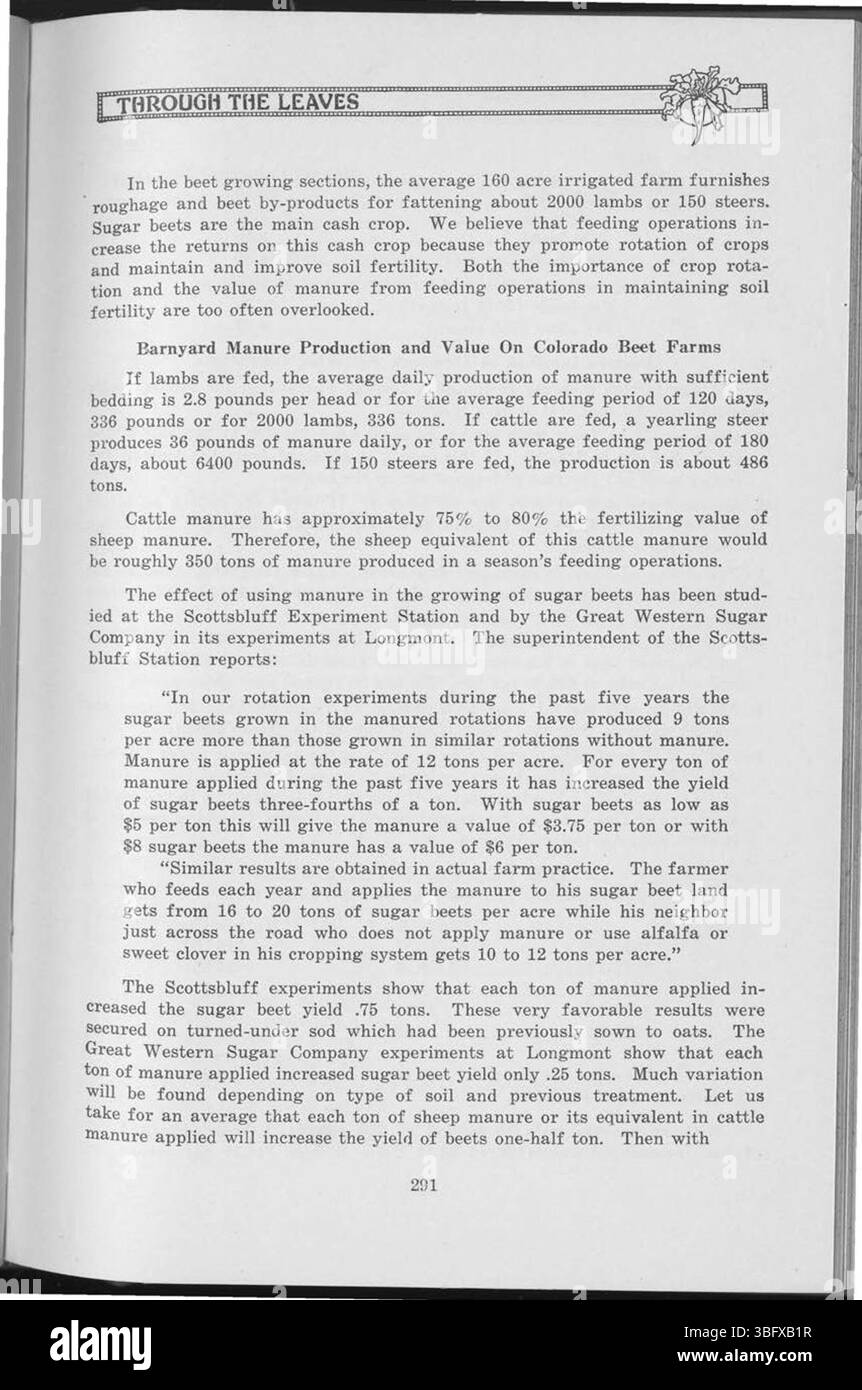 La pagina 293 di "Through the Leaves" (1927) amplia ulteriormente l'indice del soggetto, continuando ad esplorare la natura e la connessione umana, con particolare attenzione all'osservazione riflessiva e alla struttura letteraria dell'opera. Foto Stock