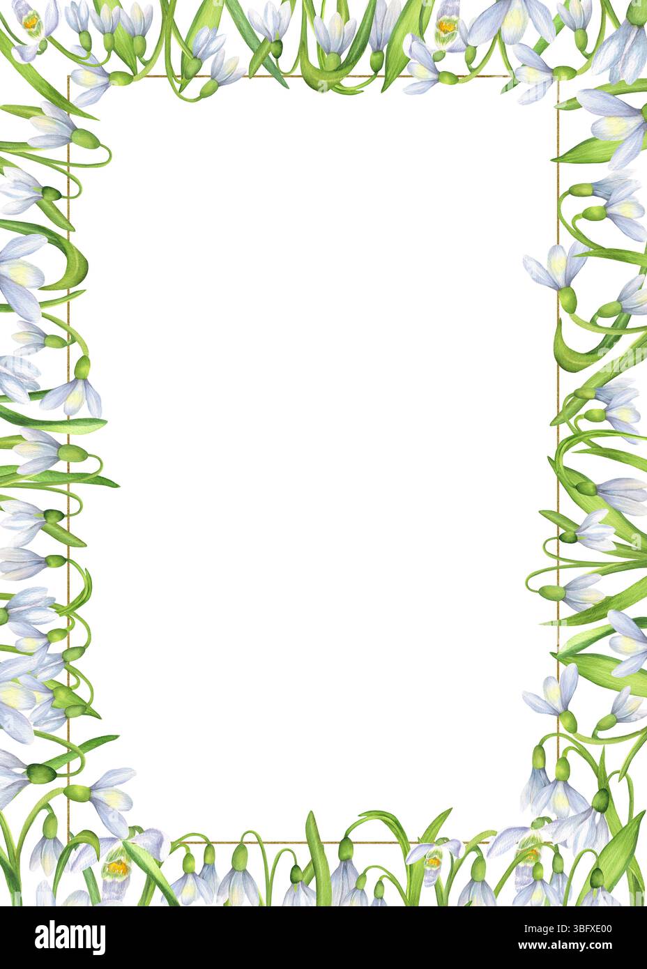Piccola cornice rettangolare dorata con fiori di gocce d'acqua bianche. Clipart decorativo primaverile. Illustrazione ad acquerello disegnata a mano. Per cartolina Foto Stock