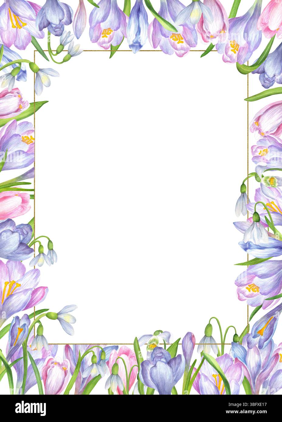 Piccola cornice rettangolare dorata con crocchi acquerelli e fiori di gocce di neve. Clipart decorativo primaverile. Illustrazione ad acquerello disegnata a mano. Per p Foto Stock