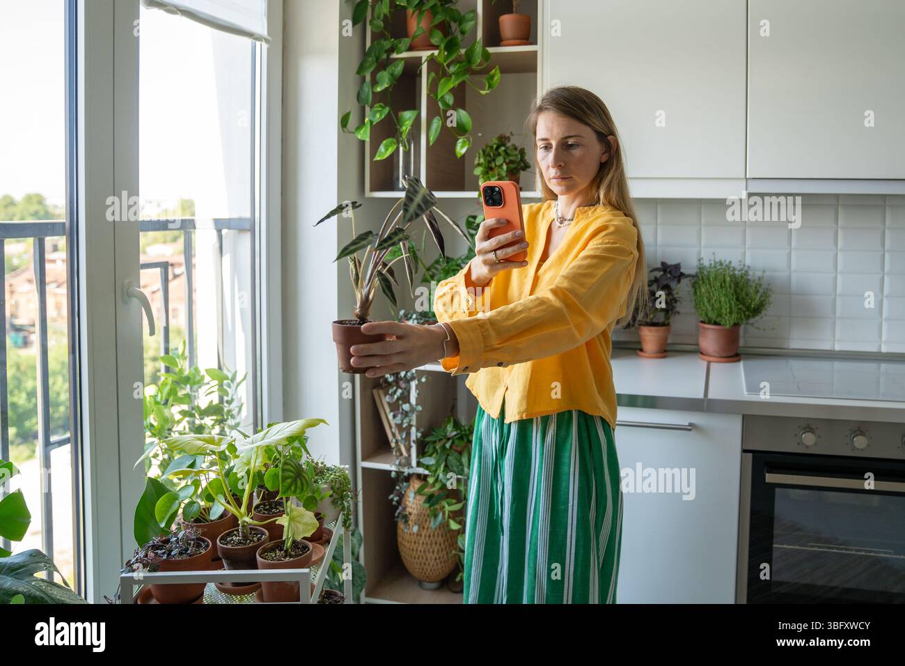Influencer femminile che registra un blog a tema sull'impianto al telefono con Alocasia bambino in mano, in live streaming Foto Stock