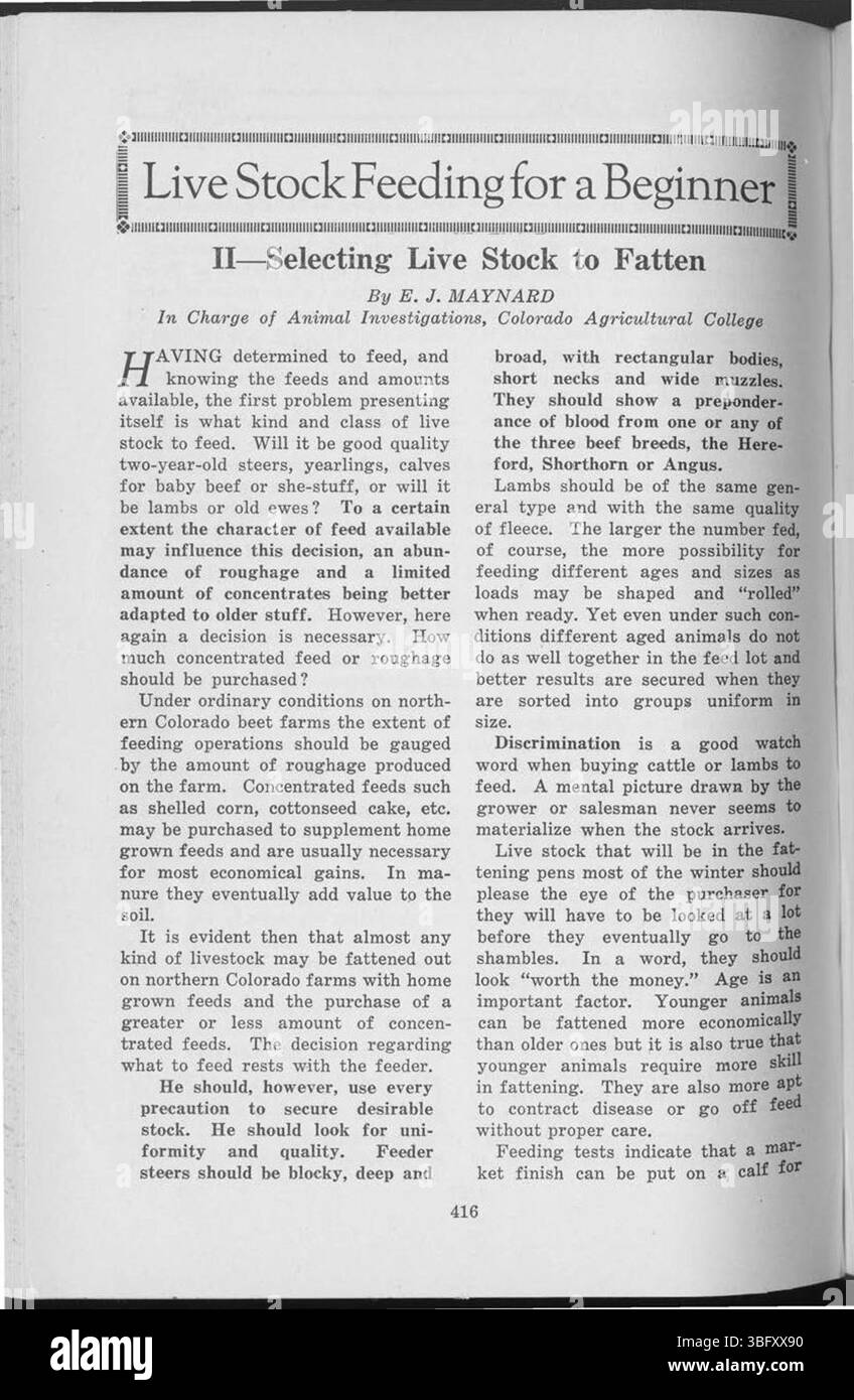 Pagina 415 riflette sul passare del tempo e dell'invecchiamento, scritto in una prospettiva introspettiva incentrata sull'esperienza individuale e sulla memoria. Foto Stock