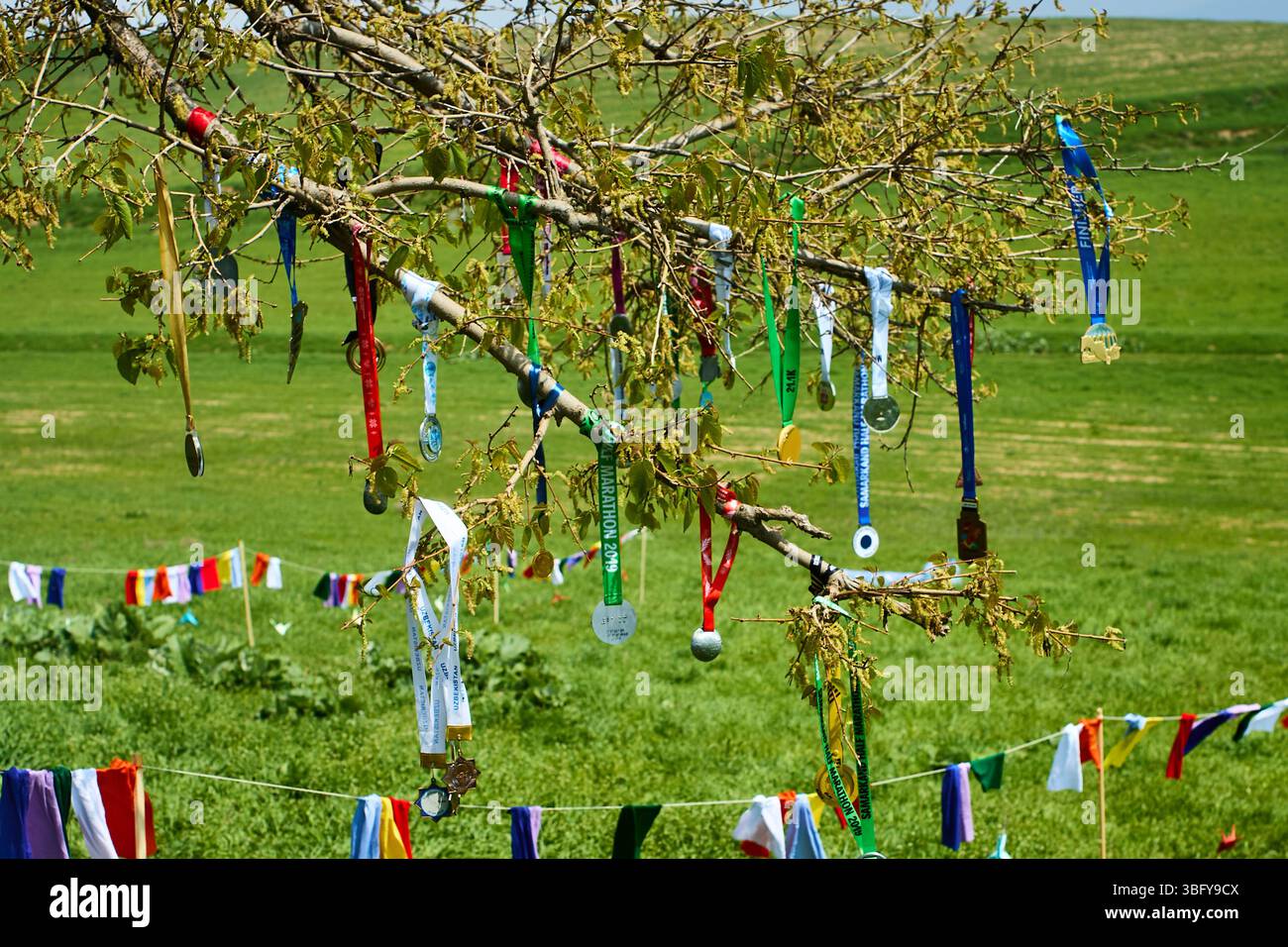 Albero desiderante con nastri in natura Foto Stock