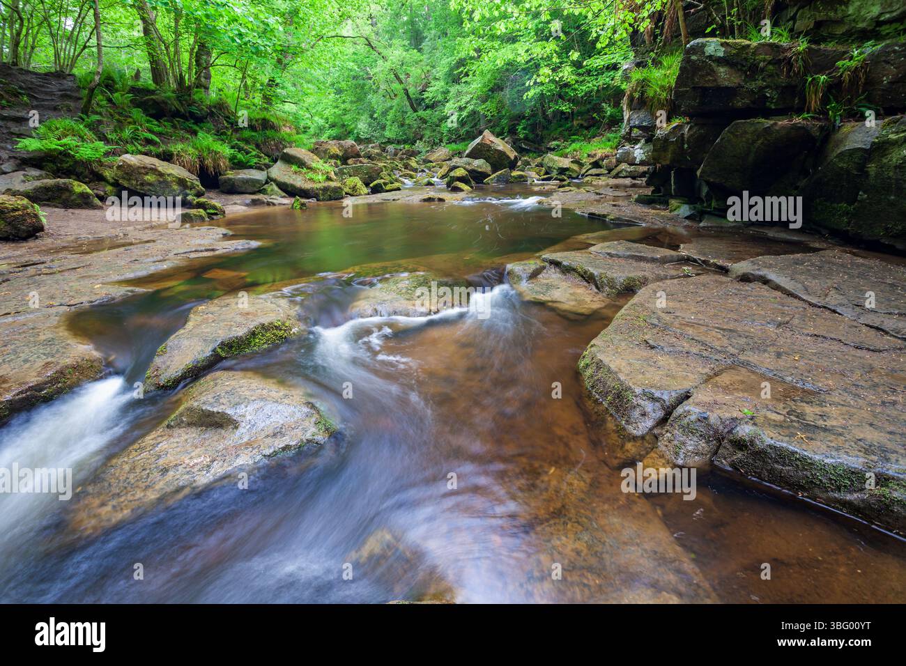 West Beck in un bosco vicino a Goathland, North Yorkshire, Inghilterra. Foto Stock