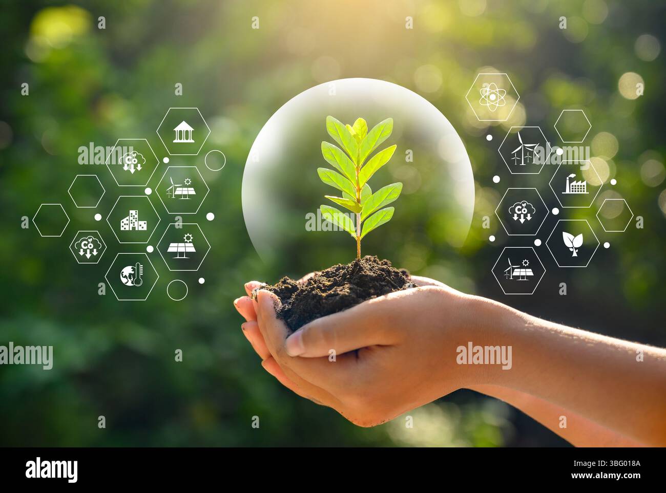 Ambiente per la Giornata della Terra nelle mani di alberi che crescono i semenzali. Bokeh sfondo verde femmina lato albero di trattenimento sul campo di natura foresta di erba conservati Foto Stock