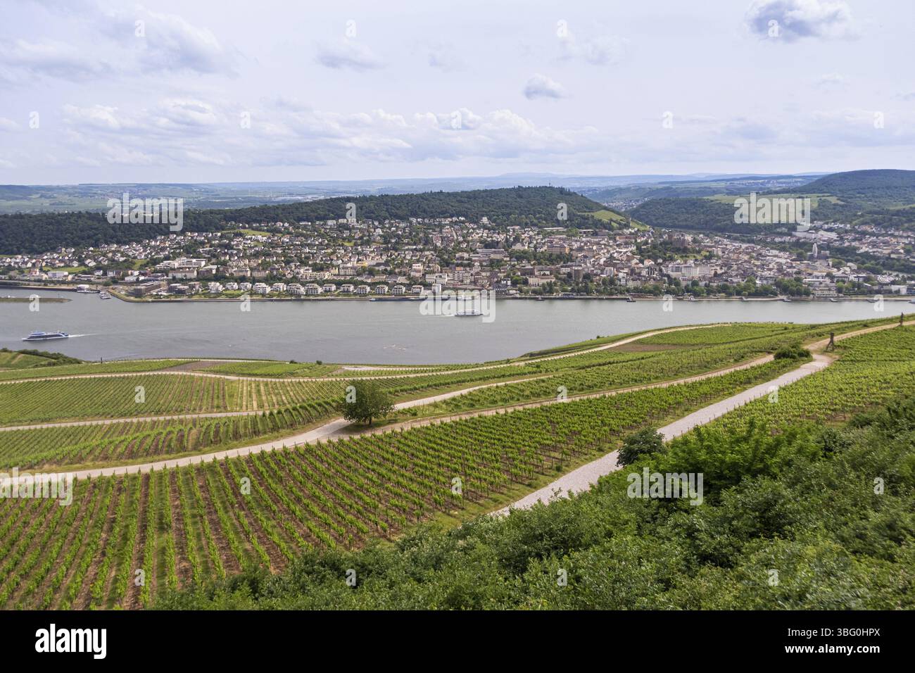 Dai vigneti sopra la città di Ruedesheim si gode una vista sul Reno fino alla città di bingen, Ruedesheim am Rhein, Renania-Palatinato, Germa Foto Stock