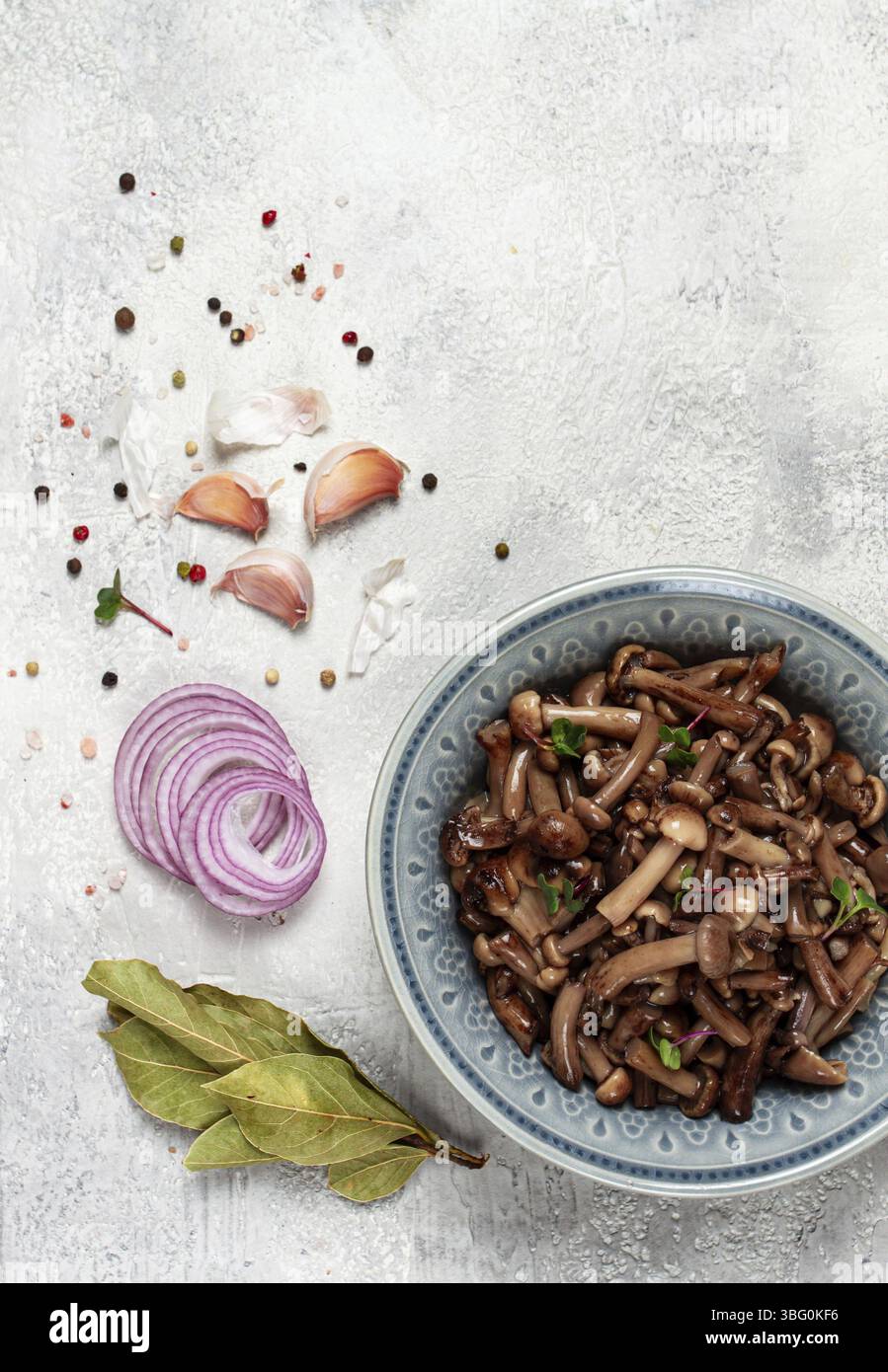 Funghi al miele sottaceto, in una ciotola, fatti in casa, vista dall'alto, niente persone Foto Stock