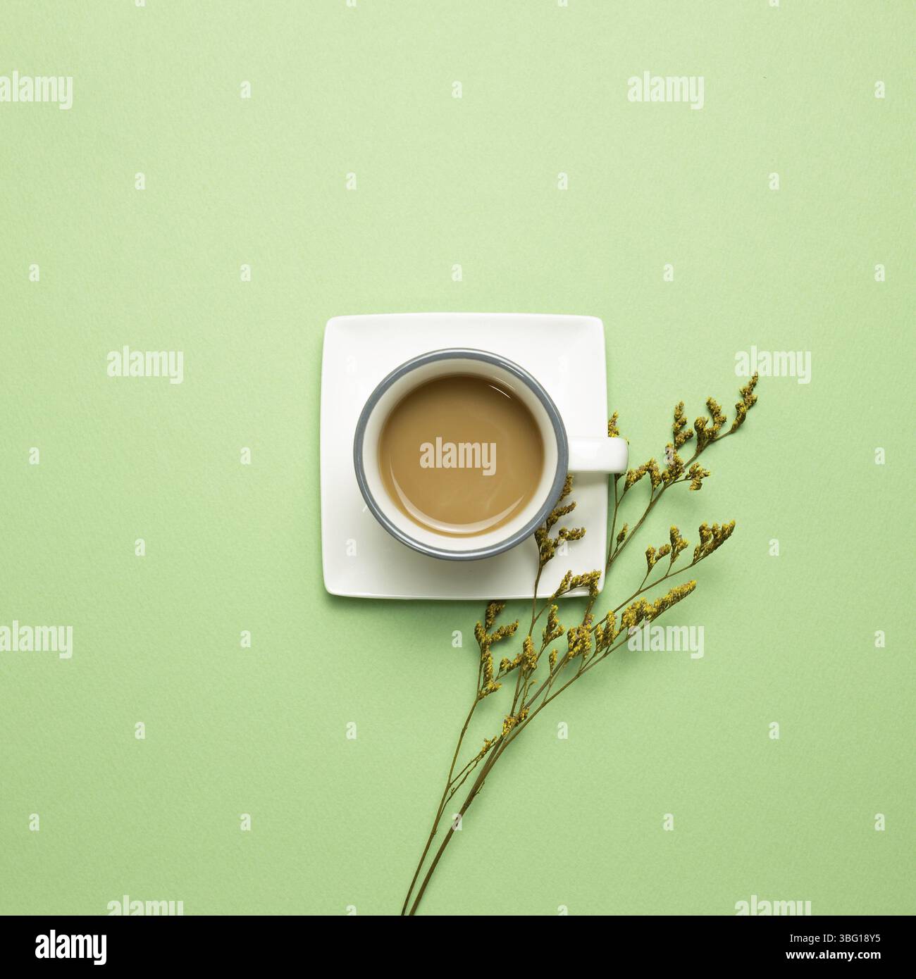 Tazza di caffè con fiori secchi blu misty su sfondo verde. Vista dall'alto, spazio copia Foto Stock