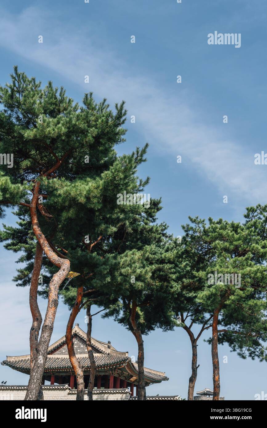 Fortezza di Hwaseong Dongjangdae architettura tradizionale coreana a Suwon, corea (traduzione è Yeonmudae) Foto Stock