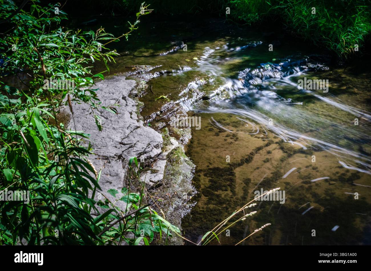 Esposizione lunga orizzontale primo piano di un torrente poco profondo che scorre su rocce delimitate da cespugli Foto Stock