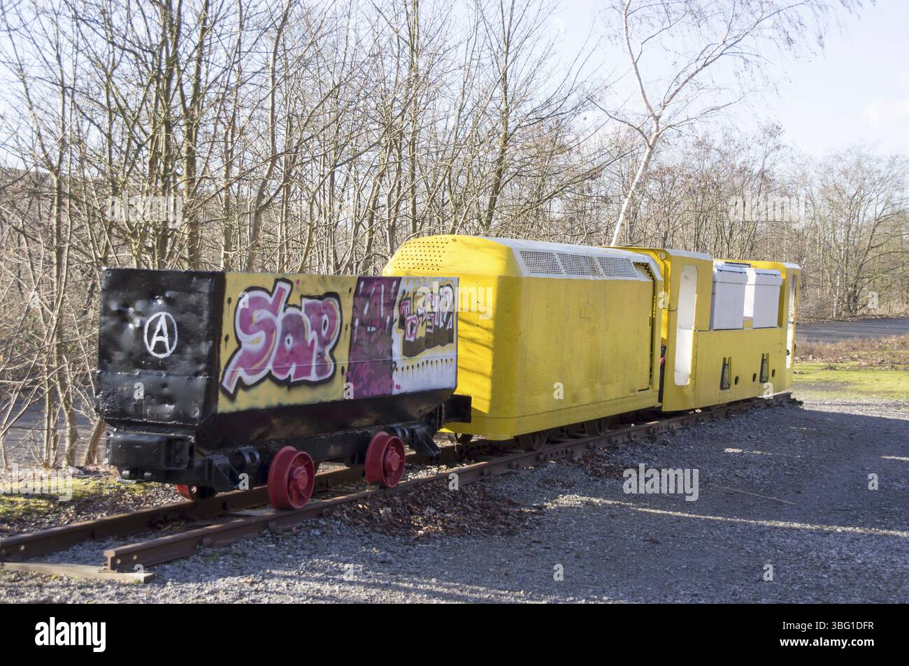 Sul sentiero naturalistico di montagna presso la punta di Kissinger Hoehe a Hamm, Renania settentrionale-Vestfalia, Germania, Europa Foto Stock