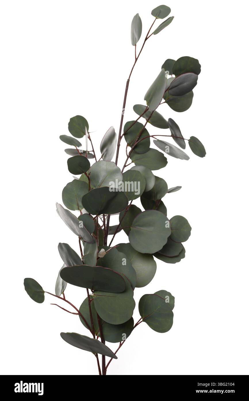 La pianta artificiale verde brillante realizzata in silicone e lattice è ideale per migliorare vari spazi interni. Il suo design realistico offre un tocco di Foto Stock