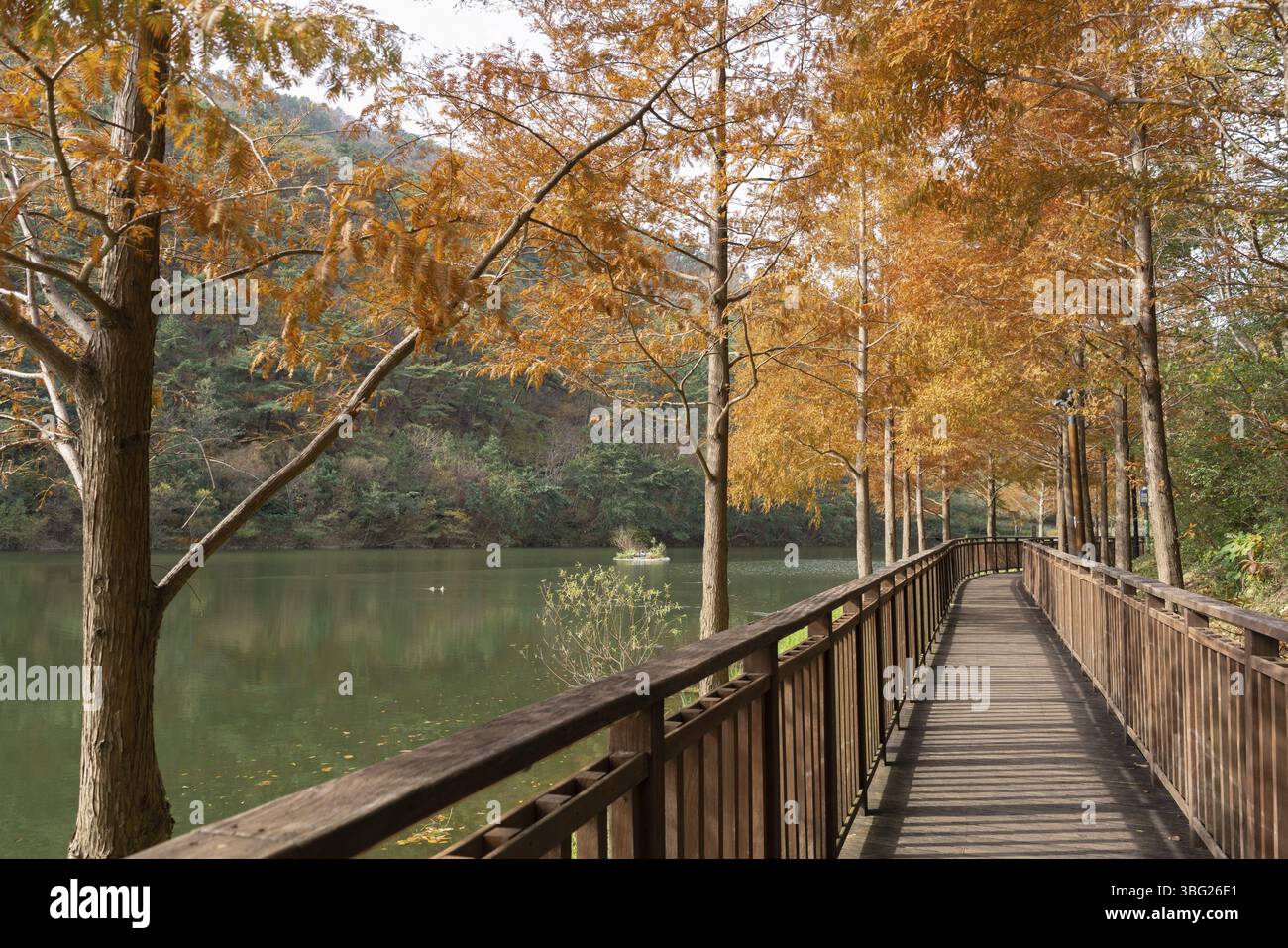 Parco del benessere di Gijang Sara Yongso, scenario autunnale a Busan, Corea Foto Stock