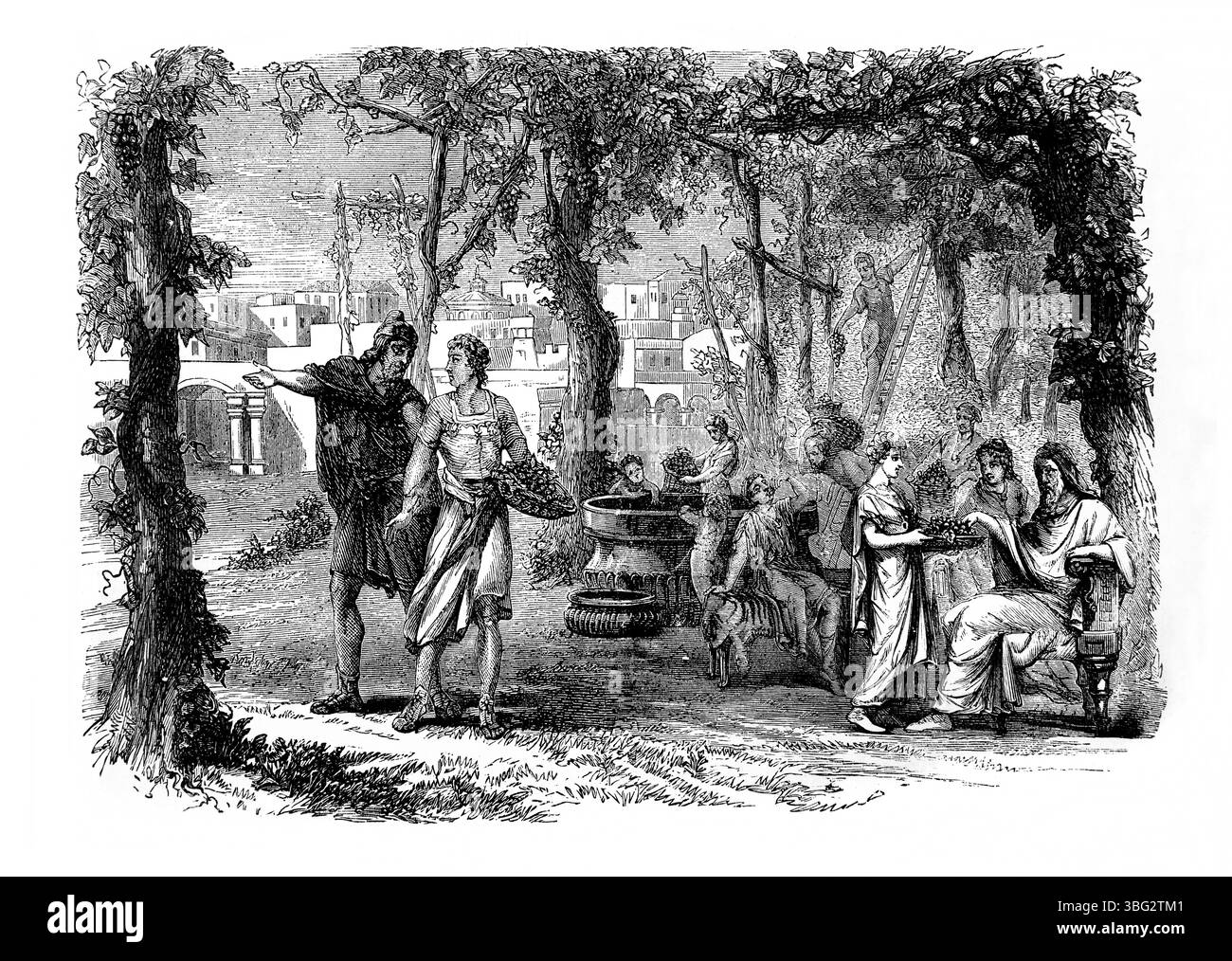 Illustrazione di Isaia LXV.21 mangiando il frutto della vite ' costruiranno case e dimoreranno in, pianteranno vigne e mangeranno i loro frutti Foto Stock