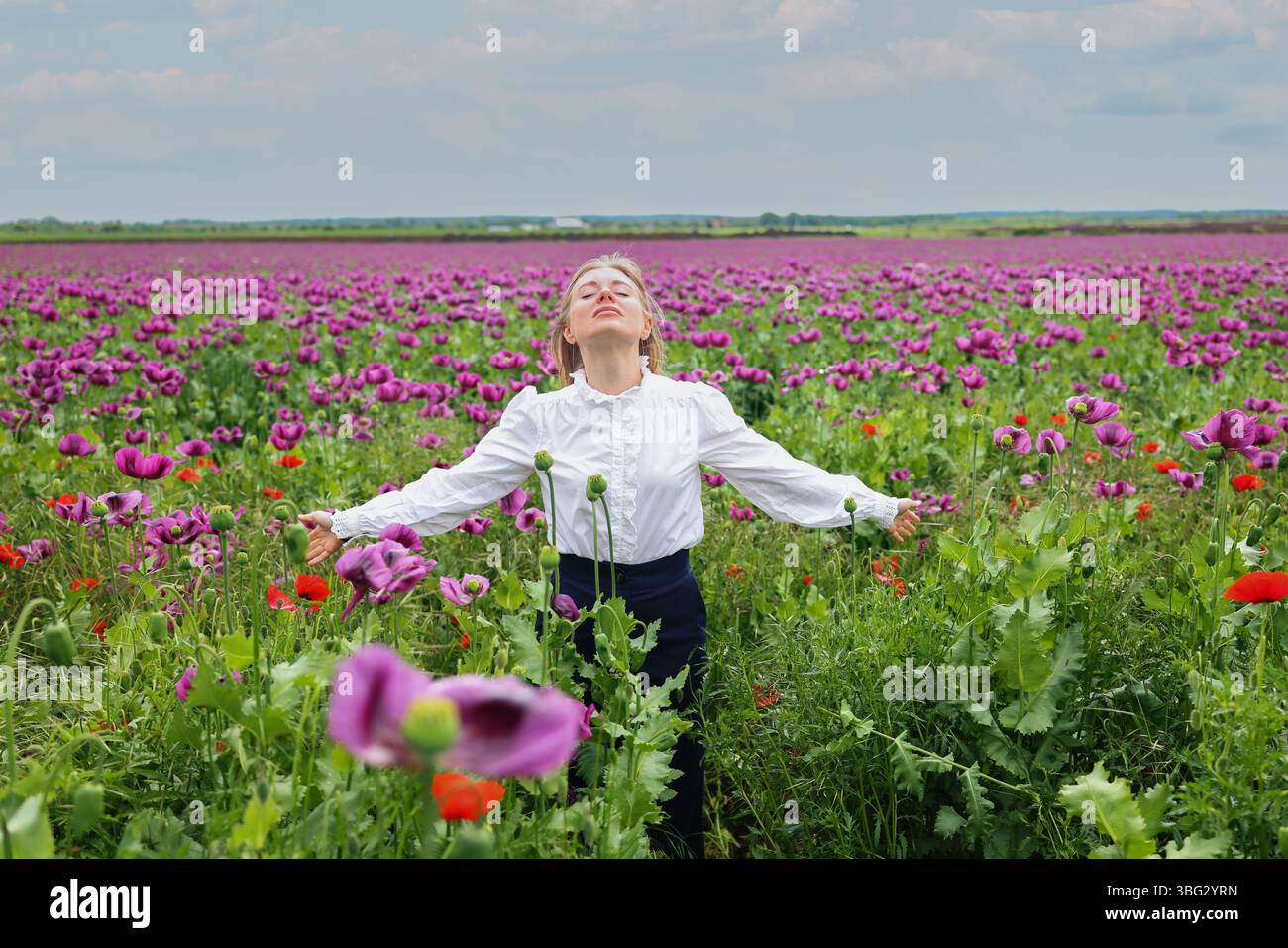Momenti sereni in un colorato campo di fiori. La donna respira aria fresca con le braccia aperte Foto Stock