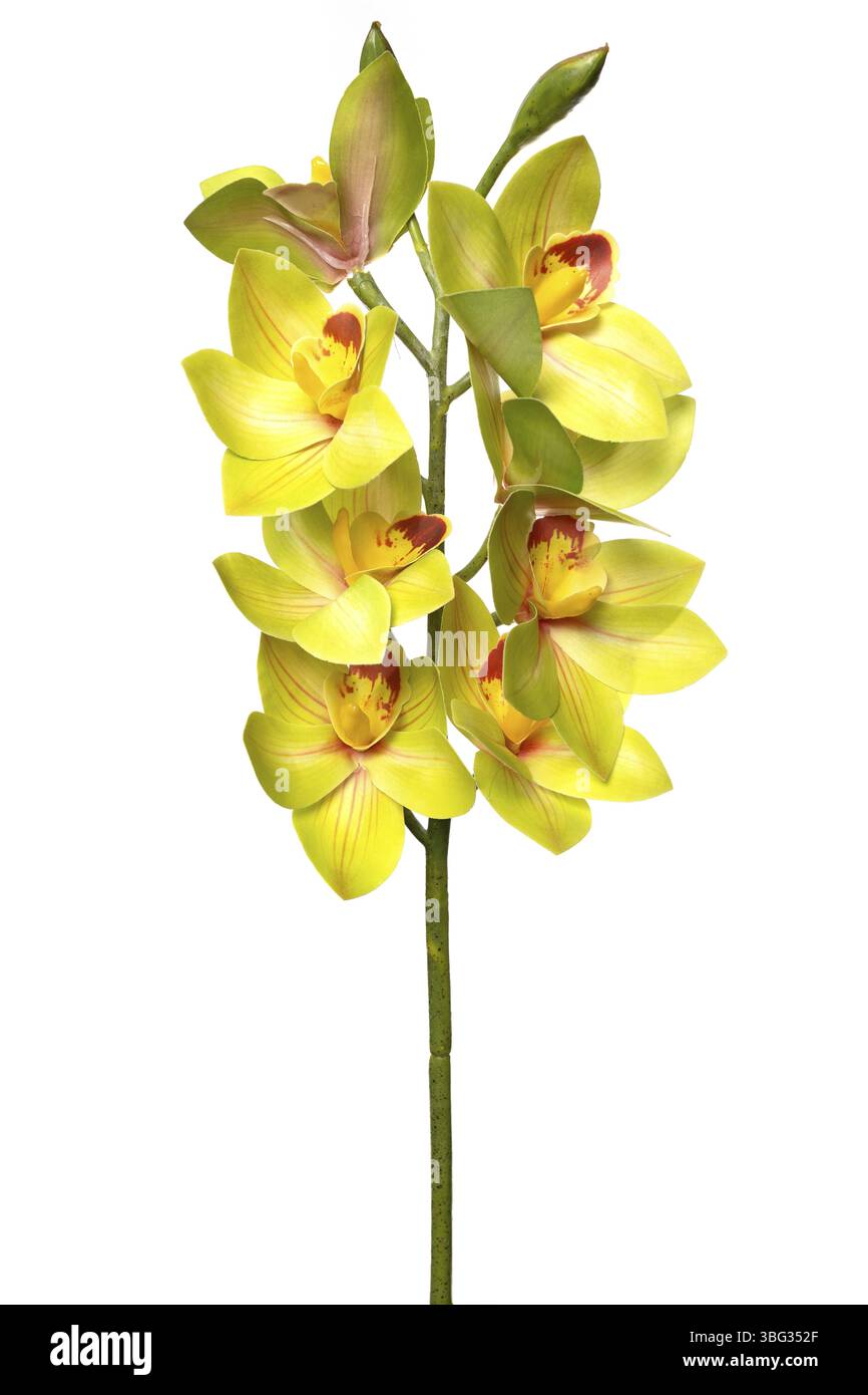 Elegante disposizione di orchidee gialle luminose in silicone e lattice, perfetta per aggiungere un tocco vibrante all'arredamento della casa o agli eventi speciali senza Foto Stock
