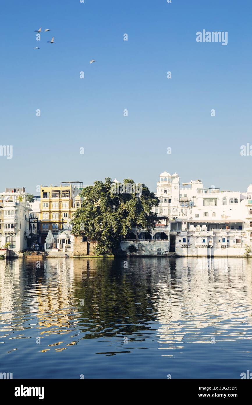 Lago Pichola e vecchi edifici a Udaipur, India, Asia Foto Stock