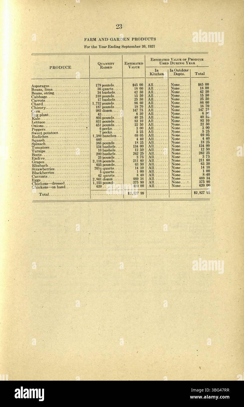 Il 50° rapporto annuale della prigione femminile dell'Indiana e il 13° per il Dipartimento Correttuale nel 1921. Copre i dati sanitari, le morti dei detenuti, i tipi di malattia, le ragioni per le commesse e le routine quotidiane di lavoro. Foto Stock