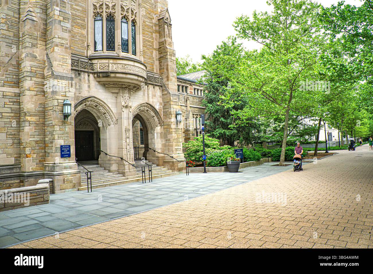 Sterling Law Building, Yale Law School, Yale University, edificio esterno, 127 Wall Street, New Haven, Connecticut, Stati Uniti Foto Stock