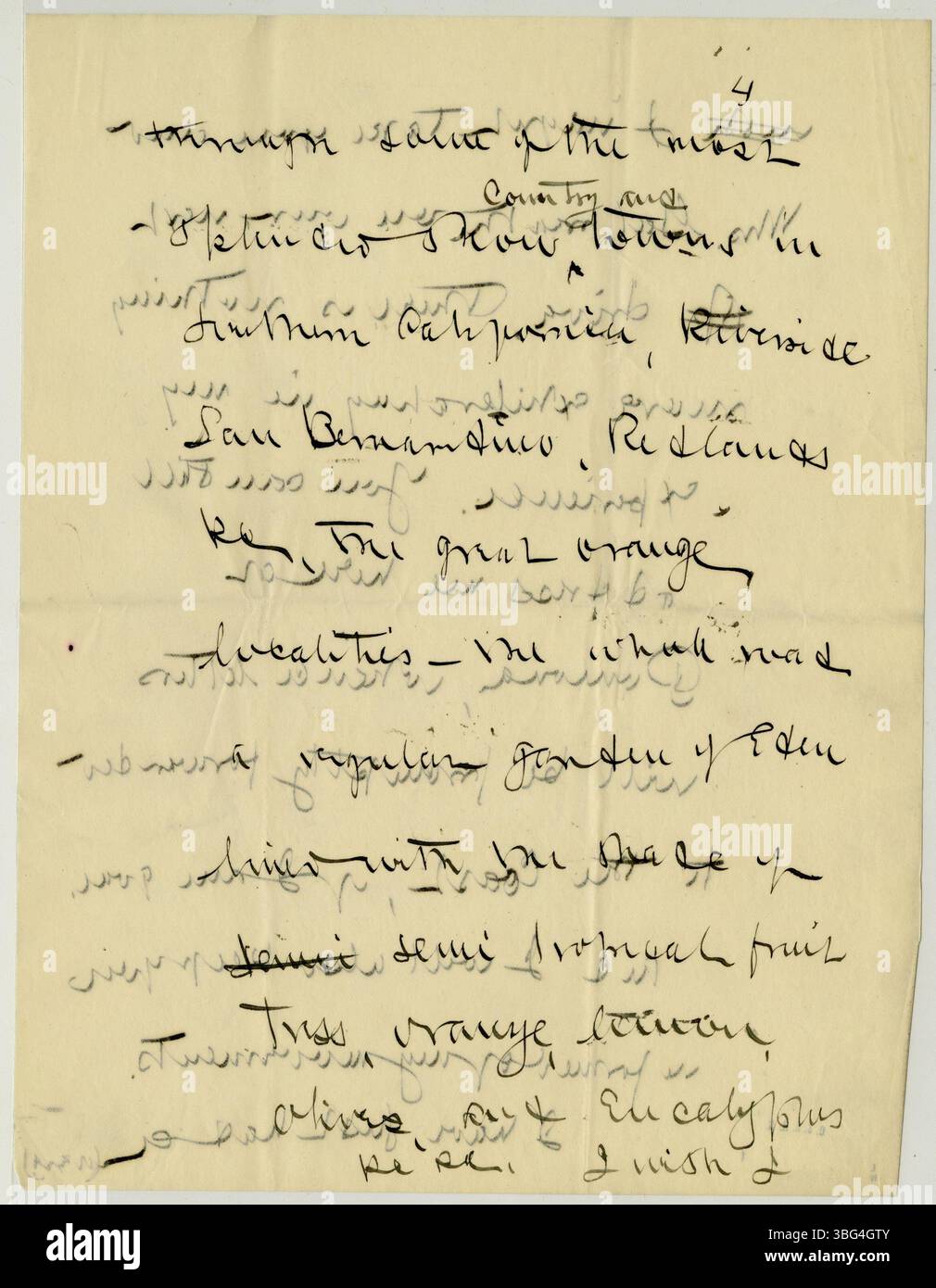 In questa lettera del 18 luglio 1906, Armstrong scrive a Galbreath su una questione finanziaria che Galbreath aveva affrontato a Colombo. Armstrong, ex ispettore generale del consolato degli Stati Uniti e docente di riforme sociali, descrive la vita in California, dove risiedeva all'epoca. Foto Stock In questa lettera del 18 luglio 1906, Armstrong scrive a Galbreath su una questione finanziaria che Galbreath aveva affrontato a Colombo. Armstrong, ex ispettore generale del consolato degli Stati Uniti e docente di riforme sociali, descrive la vita in California, dove risiedeva all'epoca. Foto Stock