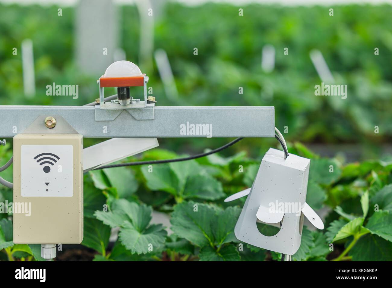 Agricoltura sensore wireless per agricoltura intelligente illuminazione co2 dispositivo di monitoraggio della temperatura per impianti di automazione vivaio in serra Foto Stock