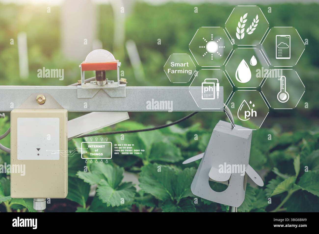 Sensore per agricoltura tecnologia agricola intelligente co2 illuminazione umidità dispositivo di monitoraggio della temperatura per impianti di automazione vivaio in serra Foto Stock