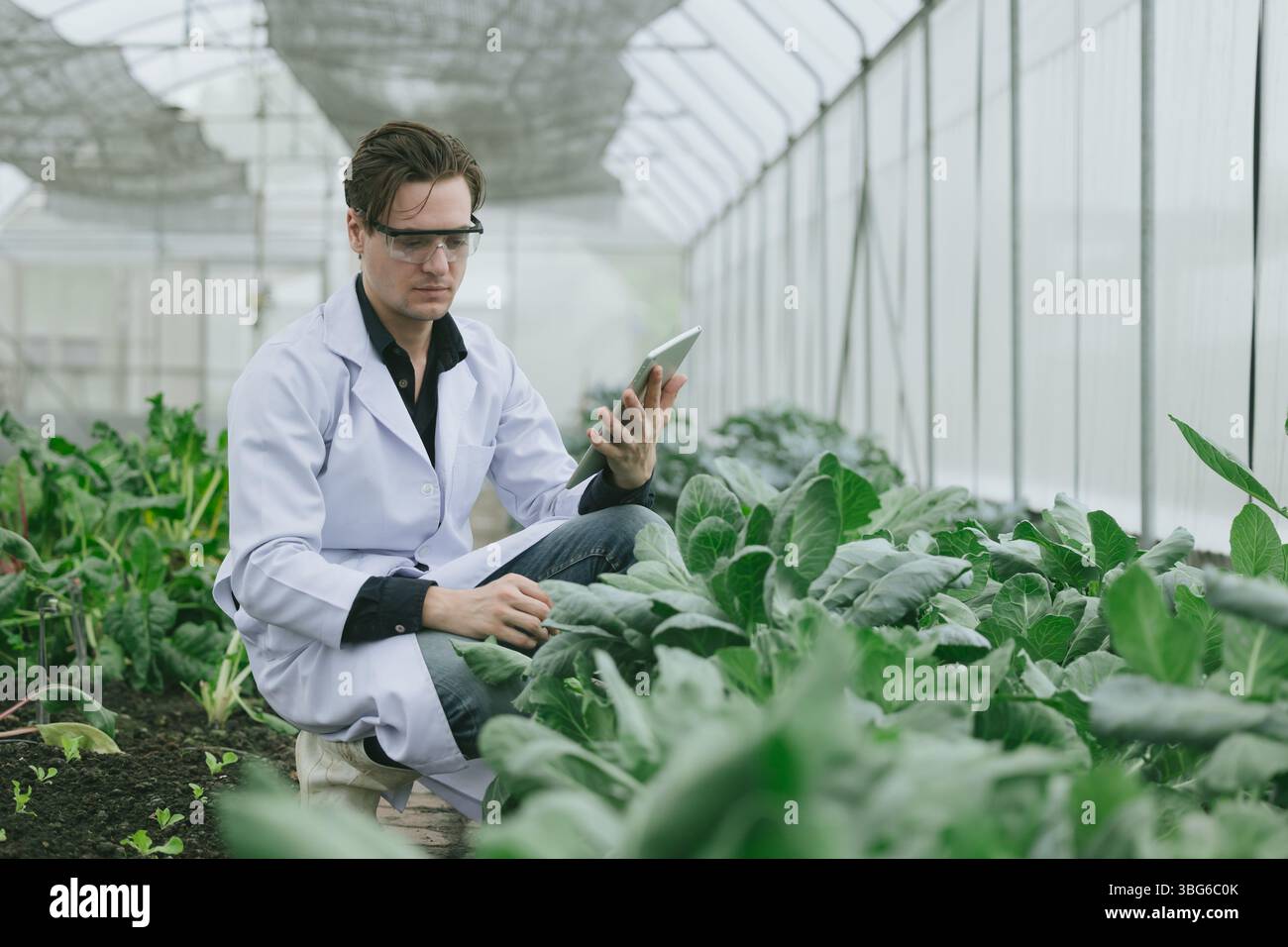 Scienziati che lavorano alla ricerca di piante in fattoria biologica. Studio biologo che raccoglie dati sulla crescita delle piante con un tablet digitale online Foto Stock